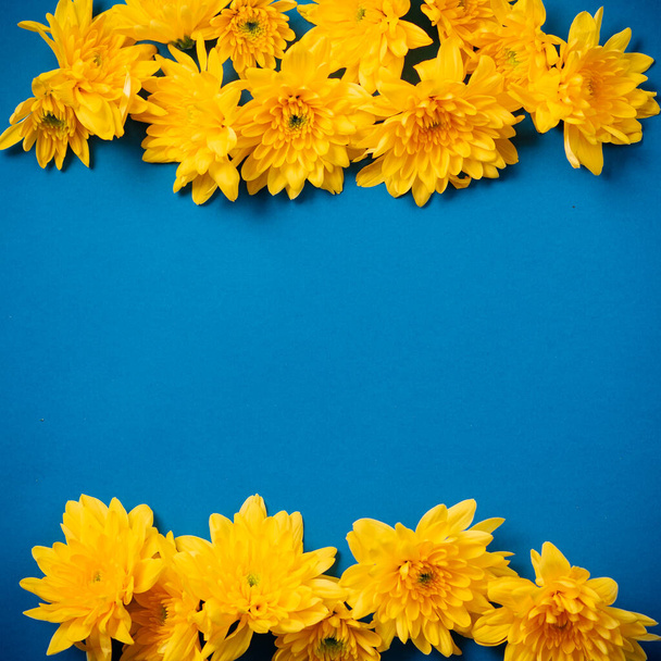 Beautiful orange chrysanthemums lie on a blue background. - Fotó, kép