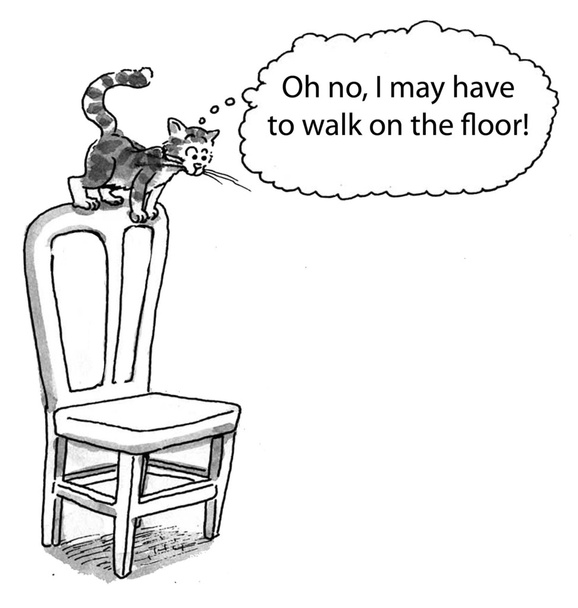 Macska lehet járni a padlón - Fotó, kép