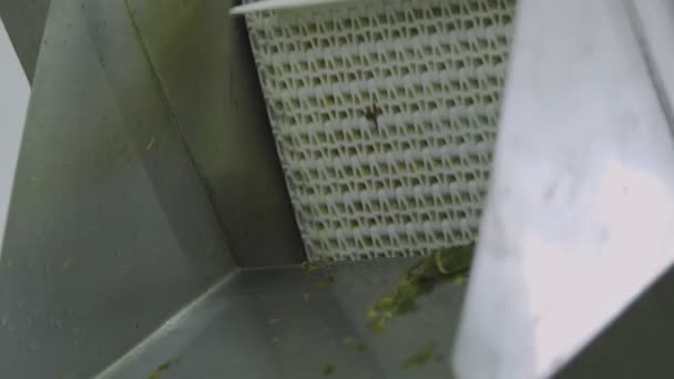 Linha de lavagem automática para processamento de vegetais. Preservando Pepino. Pepinos enlatados. Frascos de vidro com pepinos e especiarias
. - Filmagem, Vídeo