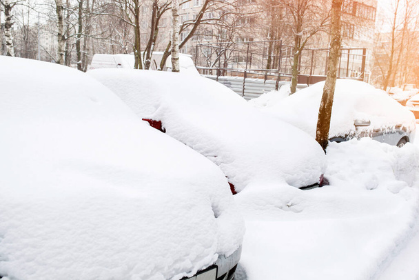 Cars covered with fresh white snow - Фото, зображення