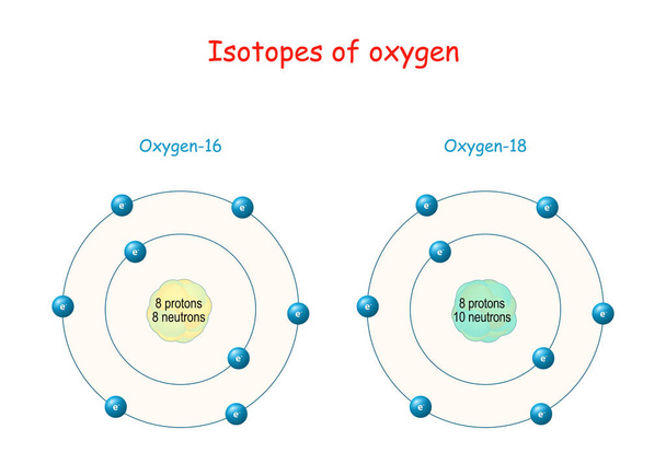 Isótopos de oxigénio. estrutura do átomo. Esquema marcado com partículas (prótons, nêutrons e elétrons). ilustração vetorial
 - Vetor, Imagem
