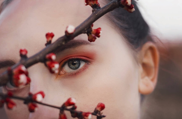 A branch with red apricot buds and a female face. Macro photo of an eye - Fotografie, Obrázek