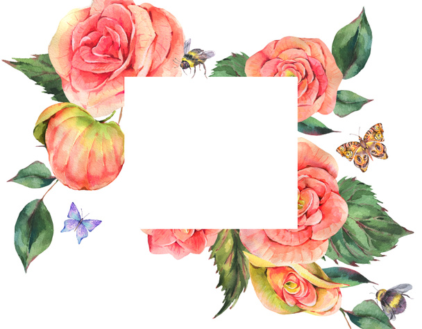 Akwarela vintage letnia kartka z pozdrowieniami z begonii kwiaty motyl, pszczoły. Naturalna ilustracja odizolowana na białym tle, botaniczny szablon kwiatowa ramka - Zdjęcie, obraz