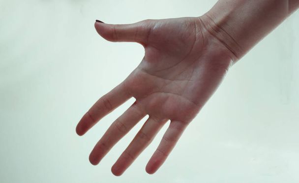 Hand of a woman on white background - Фото, зображення