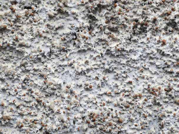 Expanded clay concrete slab surface, background - Photo, Image