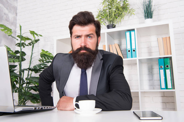 So confident. Brutal look of hipster man. Hipster sit at work desk. Businessman wear hipster beard. Bearded man in formal style. Barbershop or barbers. Fashion and style. Identical hipster - Photo, image