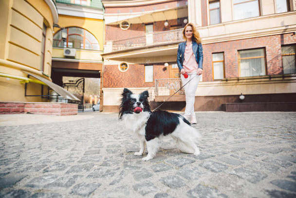 Woman and dog. Outside, happy. theme is the friendship of man and animal. Girl with chihuahua. young woman and her dog chihuahua outdoors walking by the street. dog pulling on leash. - Valokuva, kuva