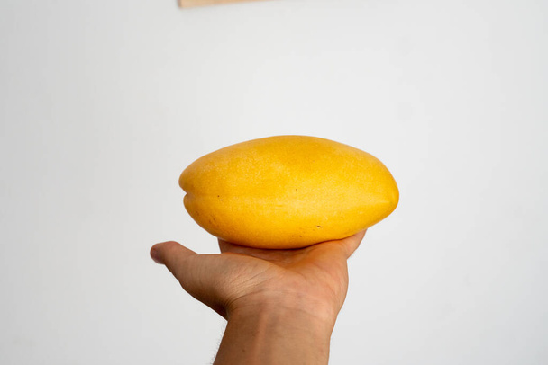 Female hand holding a ripe mango on a white background. - Фото, зображення