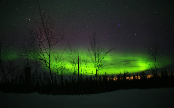 Intense northern lights and clouds over forest landscape. - Photo, Image