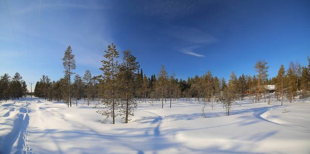 Panoráma lövés erdő közelében Norsjo Vasterbotten, Svédország. - Fotó, kép