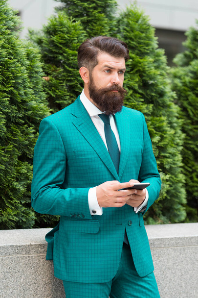 Concentrated on work. confident man standing outdoors at the city street. mature bearded man at cypress tree. successful businessman outdoors. handsome mature entrepreneur using phone. communication - Photo, image