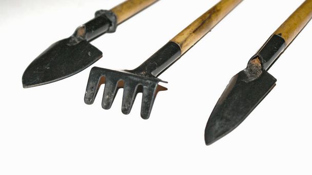 Εργαλεία κήπου απομονωμένα σε λευκό φόντο απομονωμένο - Φωτογραφία, εικόνα