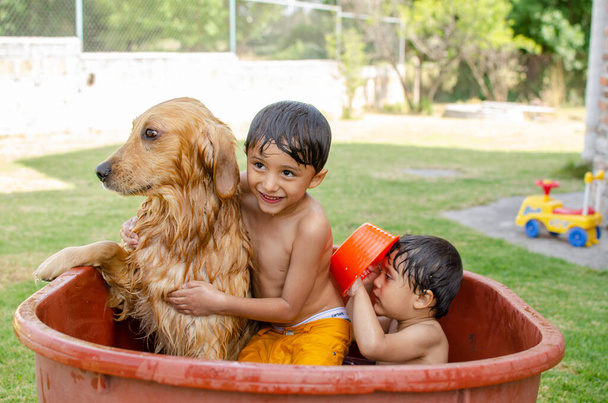 crianças felizes chuveiro um cão golden retriever no jardim e ficar molhado
 - Foto, Imagem