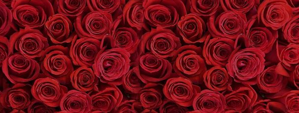 κόκκινα τριαντάφυλλα μπουκέτο εορταστικό φόντο με χρυσά στοιχεία και κουτί δώρου, πρότυπο χαιρετισμούς κάρτα πανό Για εορταστικές ευχές ημέρα του Αγίου Βαλεντίνου και την ημέρα των γυναικών  - Φωτογραφία, εικόνα