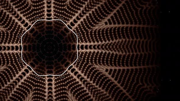 Spinnennetz- oder Spinnennetzanimation im weißen, braunen und schwarzen geometrischen Stil. - Filmmaterial, Video
