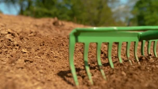 Κοντινό πλάνο Αγνώριστος διαμορφωτής τοπίου ισοπεδώνοντας ένα σωρό χώματος πριν από τη σπορά φυτών - Πλάνα, βίντεο
