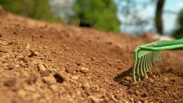 ZAMKNIJ SIĘ, DOF: Ogrodnik wyrównuje żyzne pole przed wysiewem warzyw - Materiał filmowy, wideo