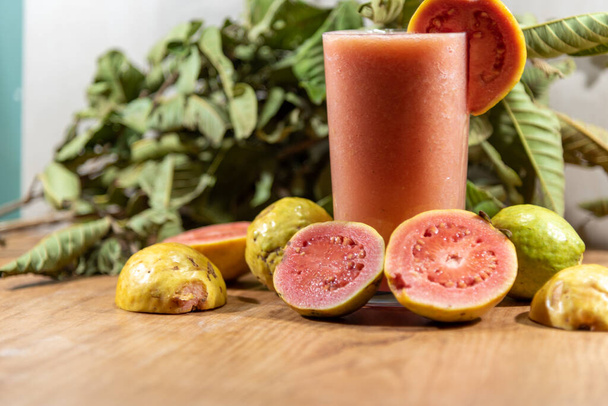 Guava juice, whose scientific name is Psidium guajava. There are numerous varieties, and the most common are white, with a greenish skin and red, with a yellowish skin and pink interior - Valokuva, kuva