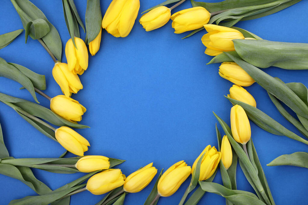 Round flower frame . Yellow tulips with green leaves lie in a circle on a blue background . copy space. - Foto, immagini