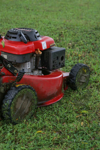 Bahçedeki çim biçme makinesi. Islak çim biçme.  - Fotoğraf, Görsel