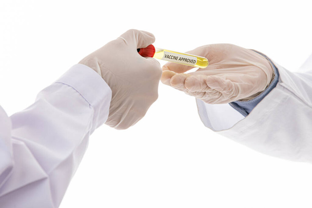 Kaksi lääkäreiden tai tutkijoiden kädet toimittaa koeputki etiketti rokote hyväksytty eristetty valkoisella pohjalla. Terveydenhuollon tiimityöskentely menestystä tutkimuksessa ja virusepidemian torjunnassa
. - Valokuva, kuva