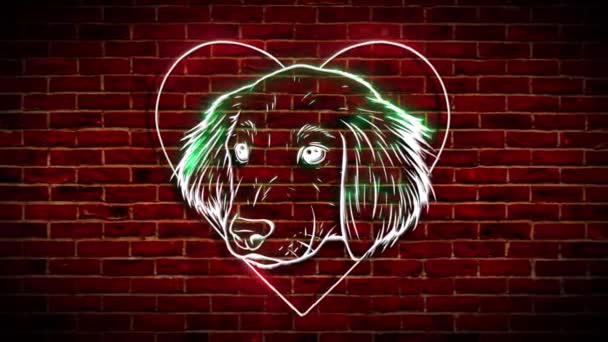 Cyfrowa animacja laserowa głowy psa - Materiał filmowy, wideo