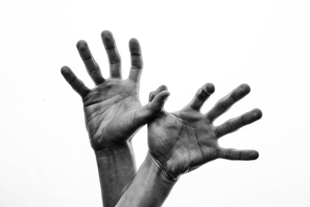 manos de un hombre sobre un fondo blanco
 - Foto, imagen
