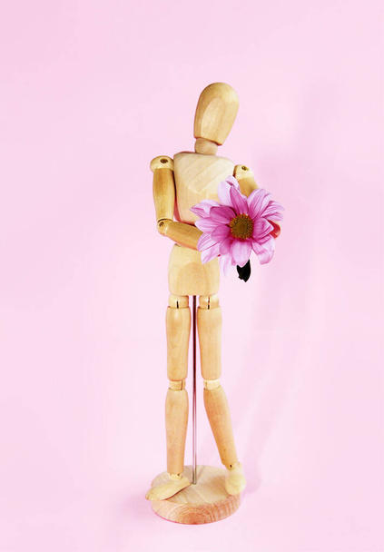 木製の黄色のマネキンはピンクの菊を花保持する - 写真・画像