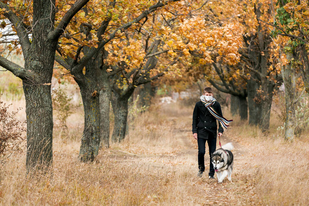 A man in a medical mask walks a dog in a forest during quarantine - 写真・画像