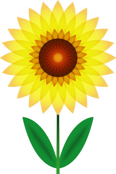 Vector sunflower. - Vetor, Imagem