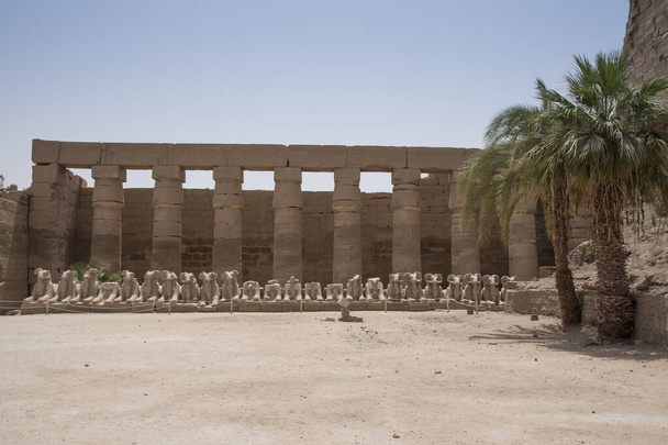 Tempio di Karnak, situato sulla riva orientale del fiume Nilo, di fronte a Luxor, l'area dell'antica Tebe, che ospitava il più importante complesso religioso nell'Antico Egitto, in Africa
 - Foto, immagini