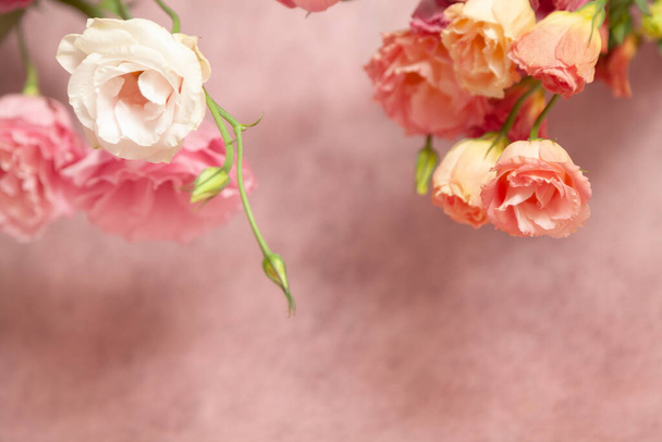 Οριζόντια πρόσκληση καρτ ποστάλ κενή με θέση για κείμενο. Ροζ και κρεμ ευστόμα λουλούδια σε ένα λεπτό ροζ παστέλ backgroun - Φωτογραφία, εικόνα
