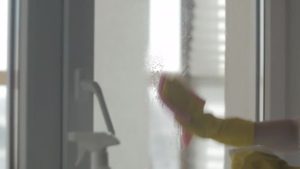 Dona de casa em luvas amarelas lavar janelas com pano rosa e detergente
. - Filmagem, Vídeo