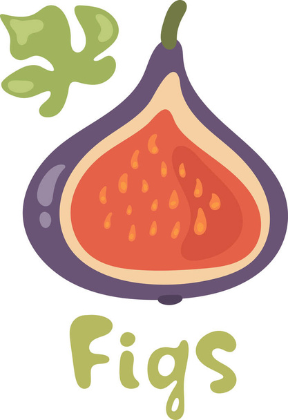 Summer tropical fruits for healthy lifestyle. Fig, purple half fruit. Vector illustration cartoon flat icon isolated on white. - Vector, Image