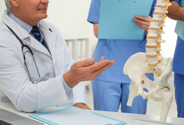 Professional orthopedist teaching medical students in clinic, closeup - Фото, зображення