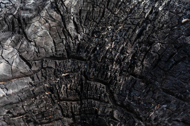 Coal texture close up. Macro burned wood surface. Black textured charcoal background. - Foto, Imagem