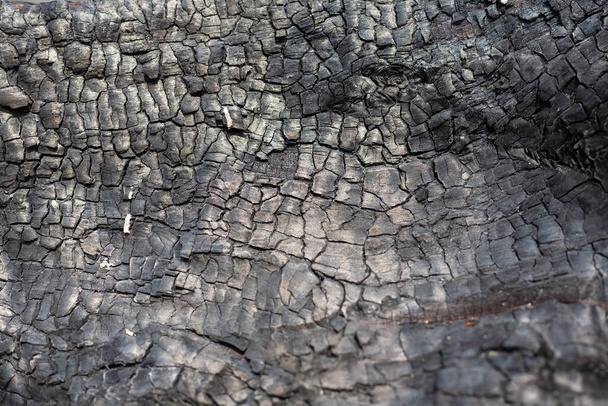 Textura de carvão de perto. Macro queimou a superfície da madeira. Preto texturizado fundo de carvão
. - Foto, Imagem