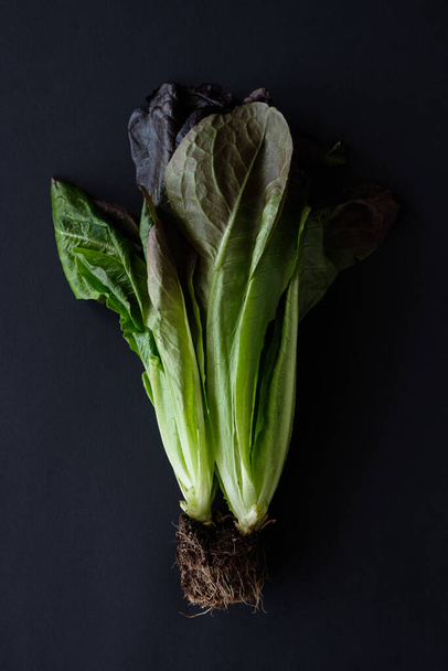 Lettuce on a dark background, healthy eating concept - Foto, imagen