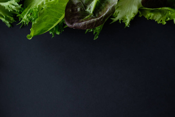 Frame of lettuce on a dark background - Фото, изображение