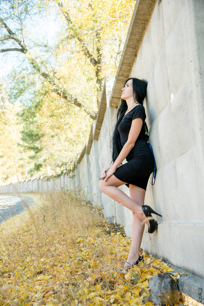 beautiful brunette woman posing outdoors wearing black dress - Foto, Imagem