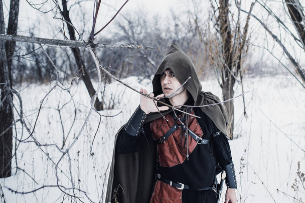 winter knight with a sword - 写真・画像