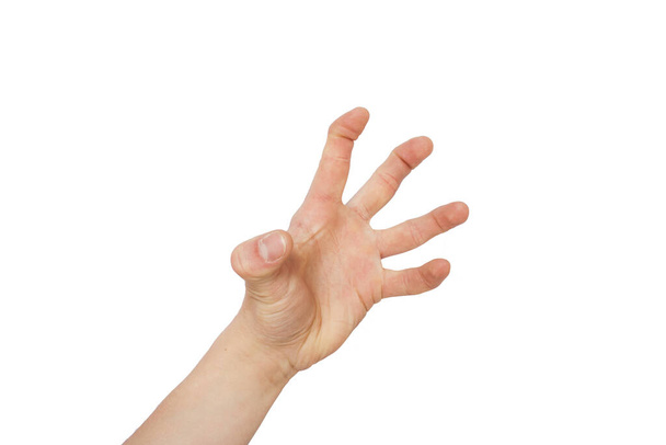 Hand shows a take sign on a white background - Φωτογραφία, εικόνα