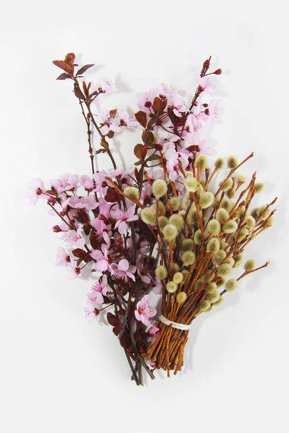 flores sakura rosa naturais e salgueiro um ramos
 - Foto, Imagem