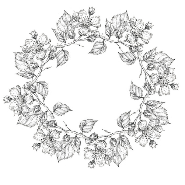 γραφικά λουλούδια αφήνει κλαδιά μοτίβο κήπο χειροποίητα στυλ χαρακτική χλωρίδα ανθοφορία βοτανική ρετρό κλασικό vintage καλοκαίρι άνοιξη πλαίσιο περίγραμμα σε λευκό φόντο - Φωτογραφία, εικόνα