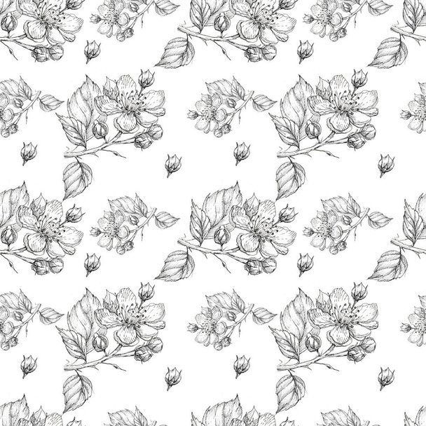 flowers pattern seamless blackberry garden currant graphics line hand-drawn branch flowering tree  summer spring flora plants botany congratulations holidays  print  on a white background separately - Photo, Image