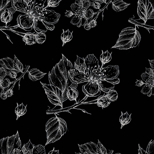 flowers pattern seamless blackberry garden currant graphics line hand-drawn branch flowering tree  summer spring flora plants botany congratulations holidays  print  on a black background - Foto, imagen