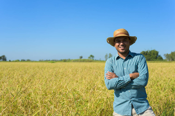 Молодой азиатский фермер и рисовое поле
 - Фото, изображение