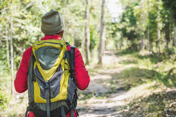 Hipster Hikers wear red raincoats, green backpacks, travel into the deep forest. - Foto, Imagem