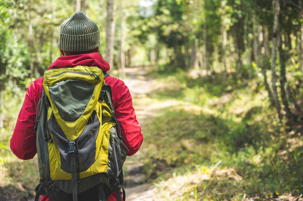 Hipster Hikers wear red raincoats, green backpacks, travel into the deep forest. - Foto, Bild