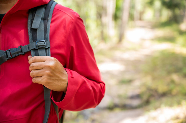 Hipster Caminhantes usam capas de chuva vermelhas, mochilas verdes, viajam para a floresta profunda
. - Foto, Imagem